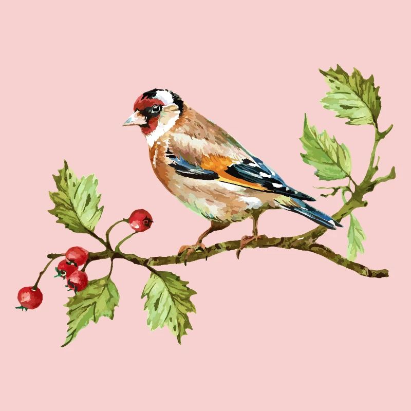 Colorful bird