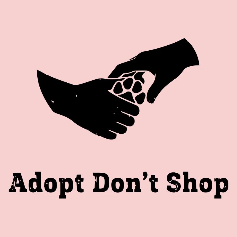 Adopt Dont Shop Pfote Faust Check