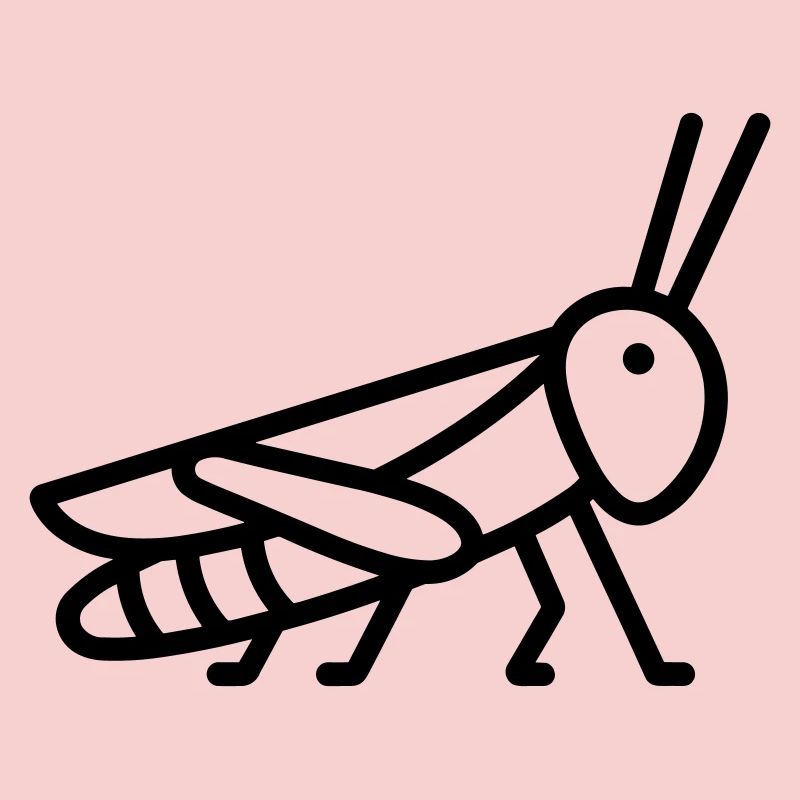 sauterelle