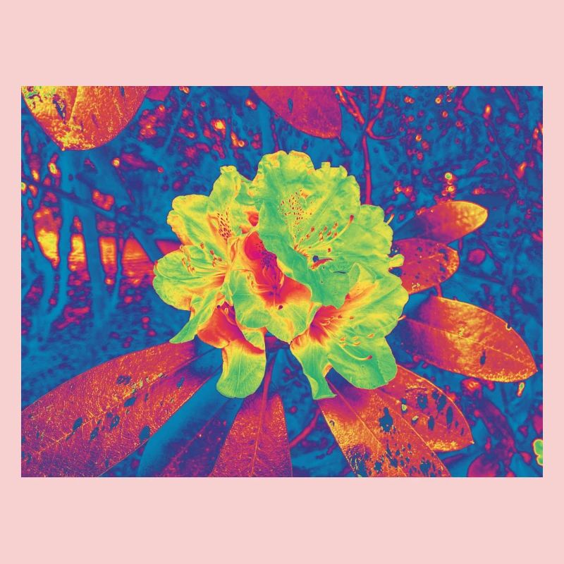 Fleur Néon Fleur Psychédélique