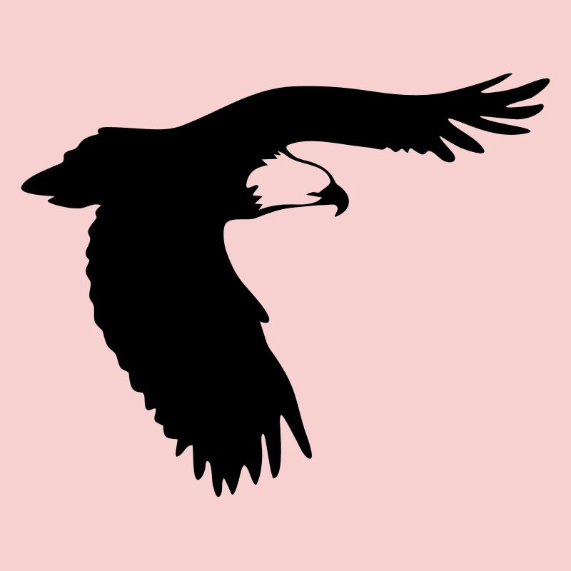 Raubvogel - Adler - Eagle