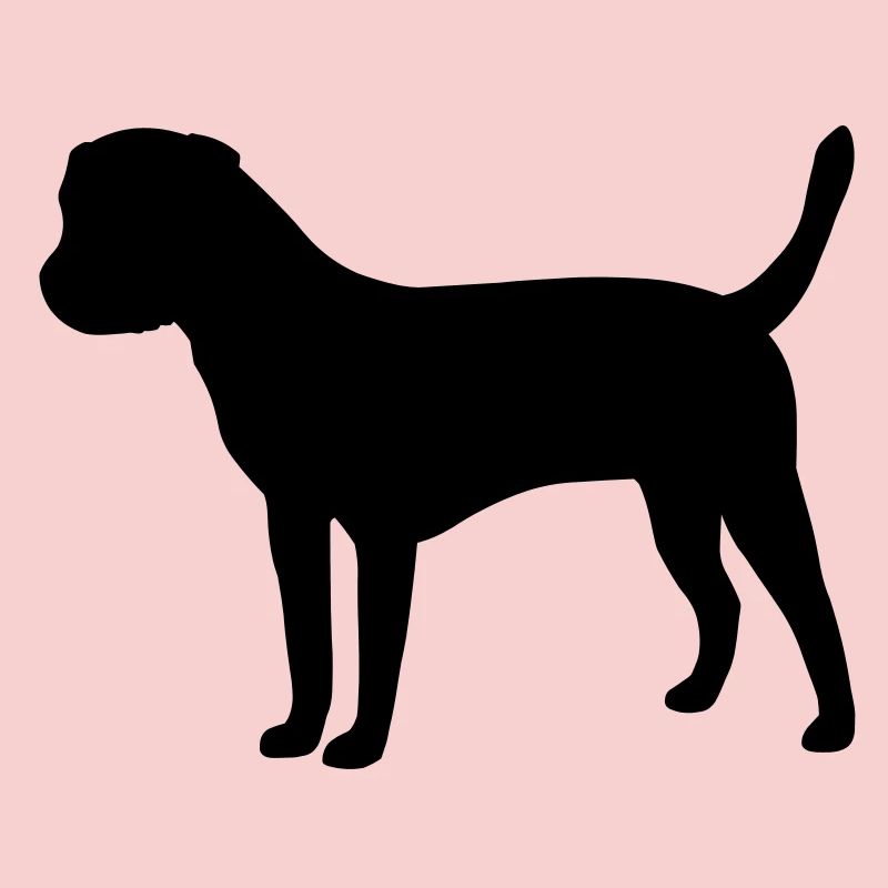 Border Terrier