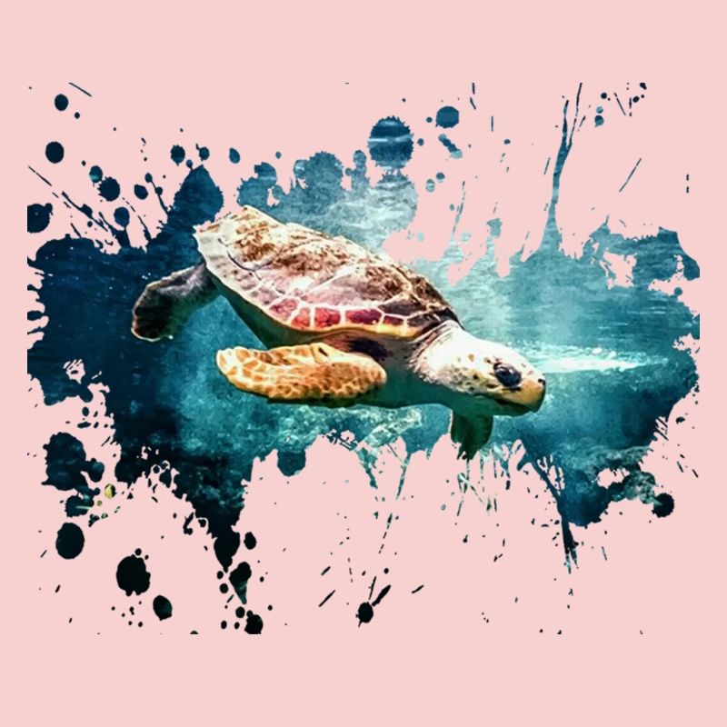 Turtle splash
