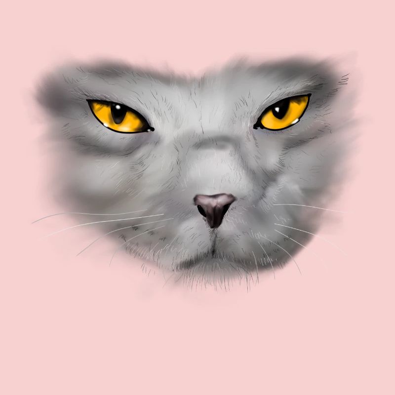 chat