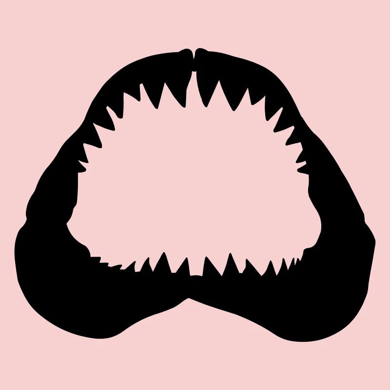 Shark Jawbone
