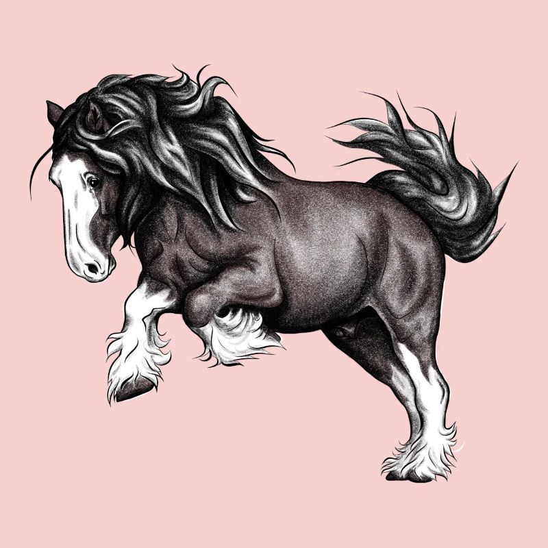 Puissance de cheval