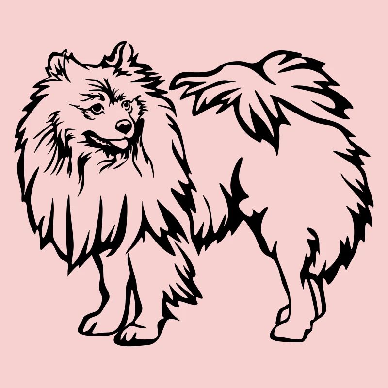 Spitz