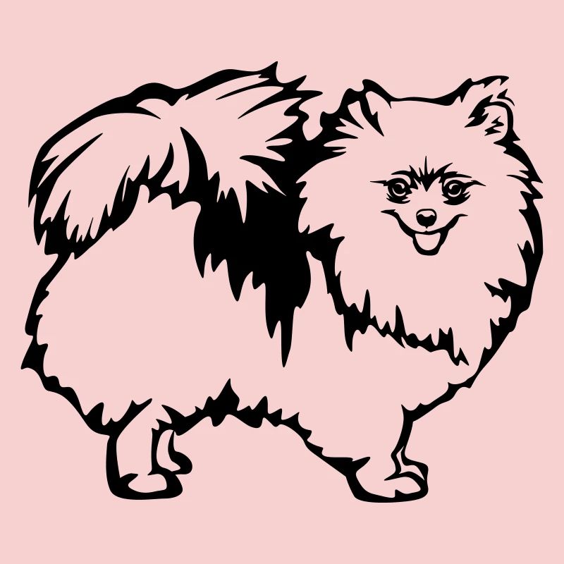Spitz nain