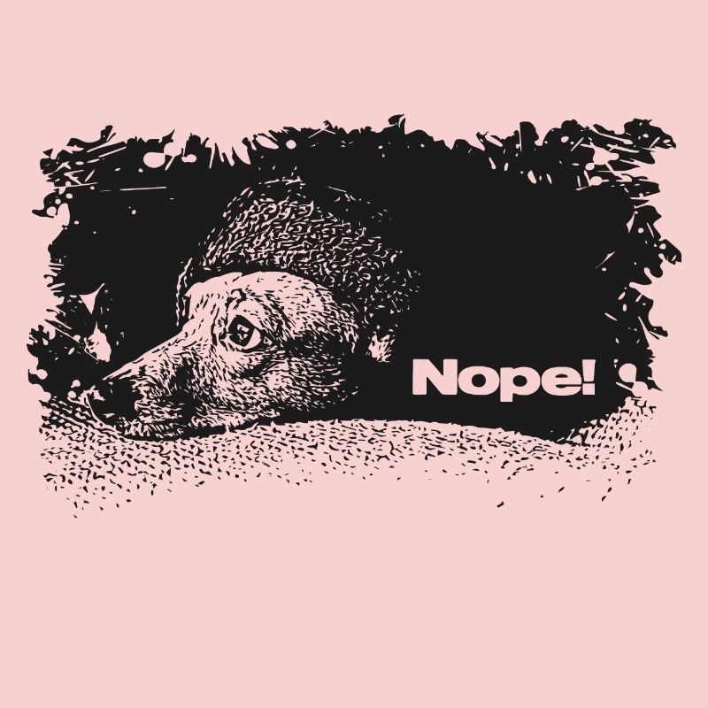 Nope - Not Today
