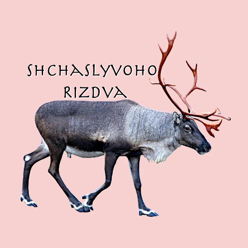 Schtschalwoho Rizdva
