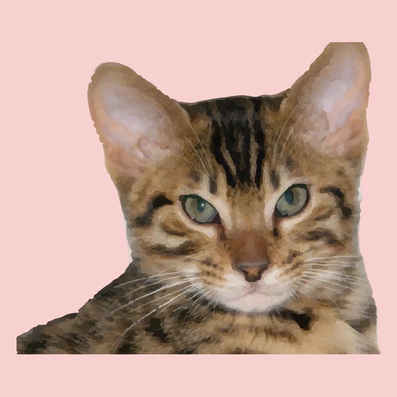 J’aime mon chat guépard
