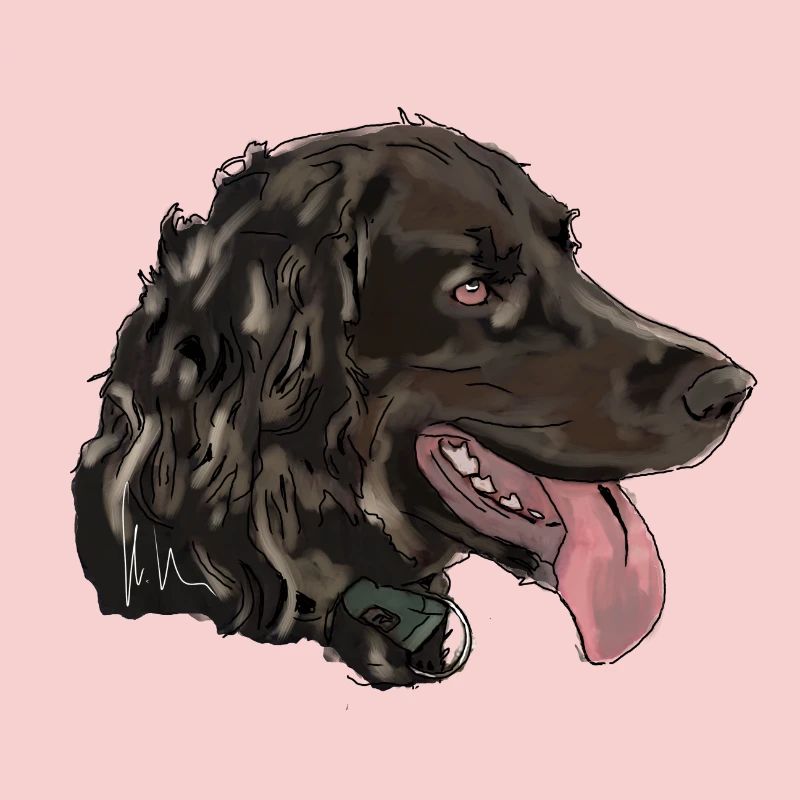 Quaildog