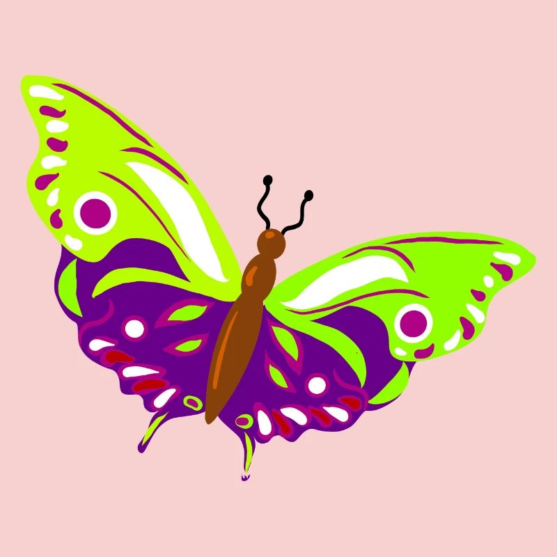 Illustration de papillon multicolore