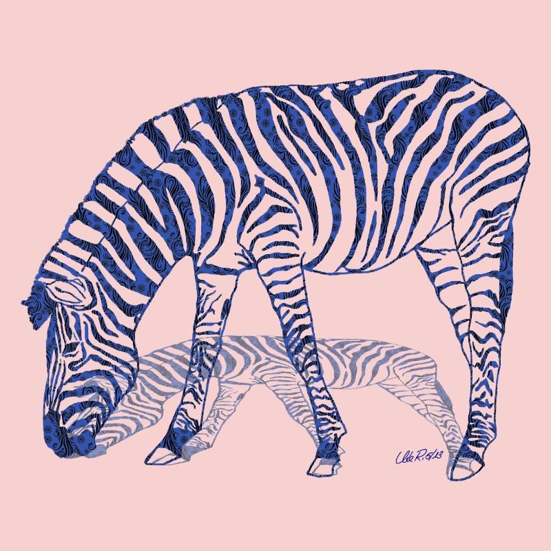 Zebra with zebra shadow