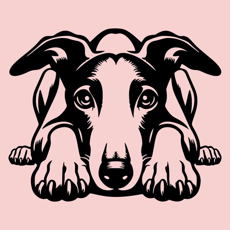 Tête de whippet avec pattes