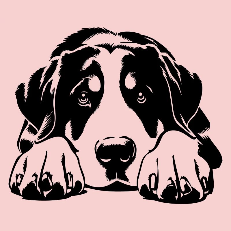 Großer Schweizer Sennenhund