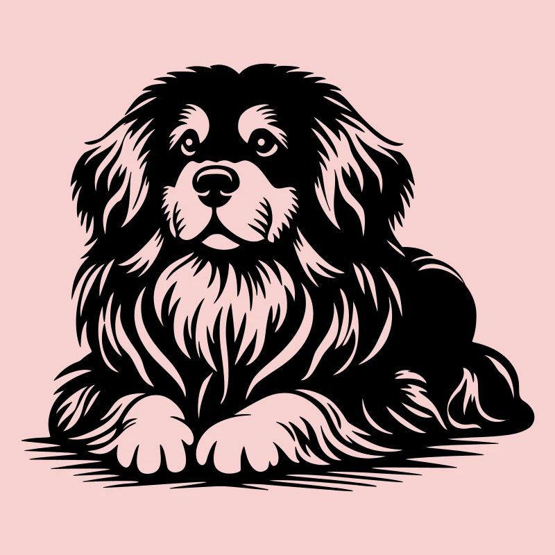 Tibet Spaniel