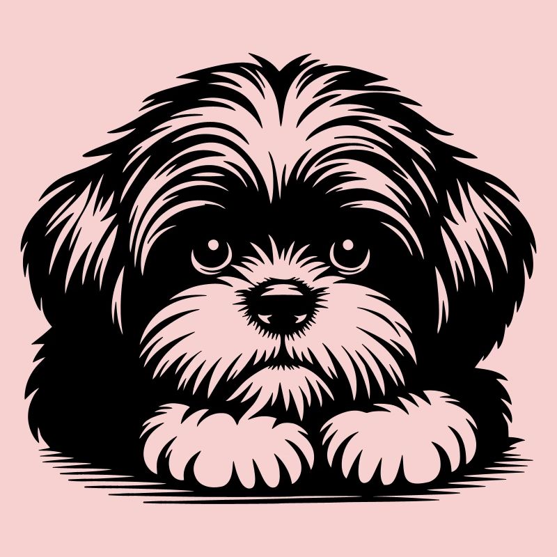 Shih Tzu Kopf mit Pfoten