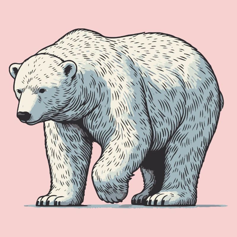 Polar bear