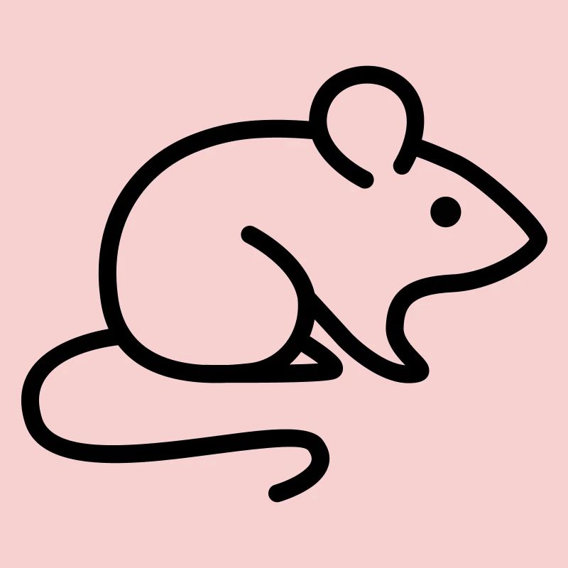 mouse