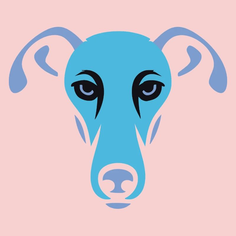 Lévrier, Galgo