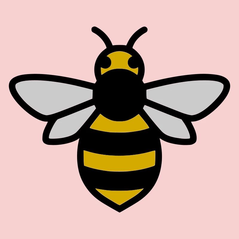 Bee Insect Cartoon