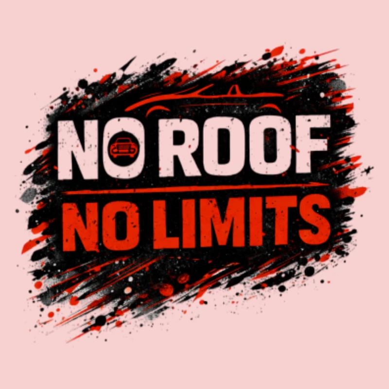 No Rules No Limits Auto Cabrio Spruch 