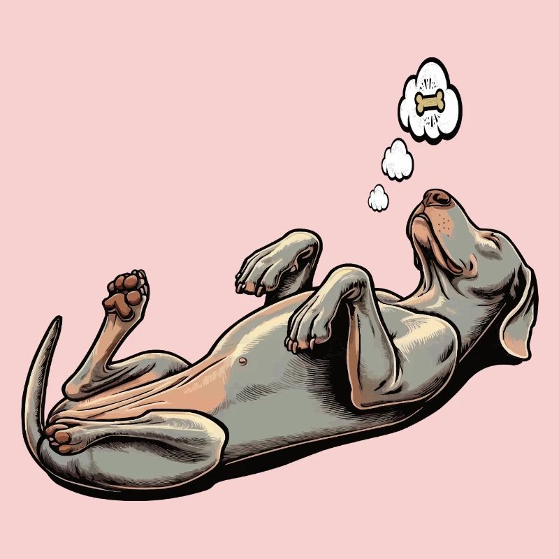 Propriétaire de Weimaraner Passionné de Weimaraner