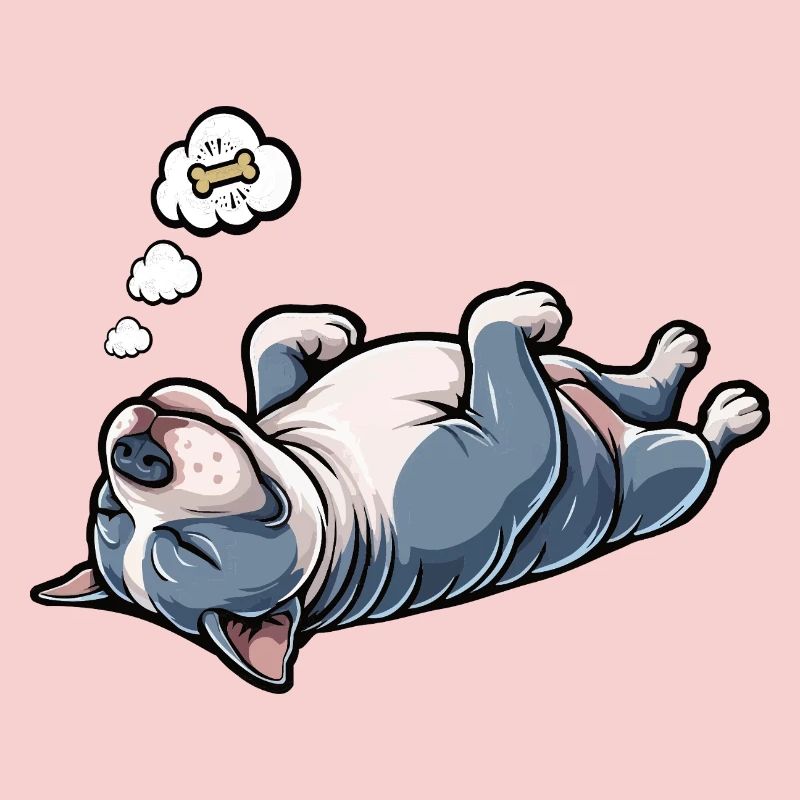 American Bully Bully Bully Bullys Propriétaire de Bully
