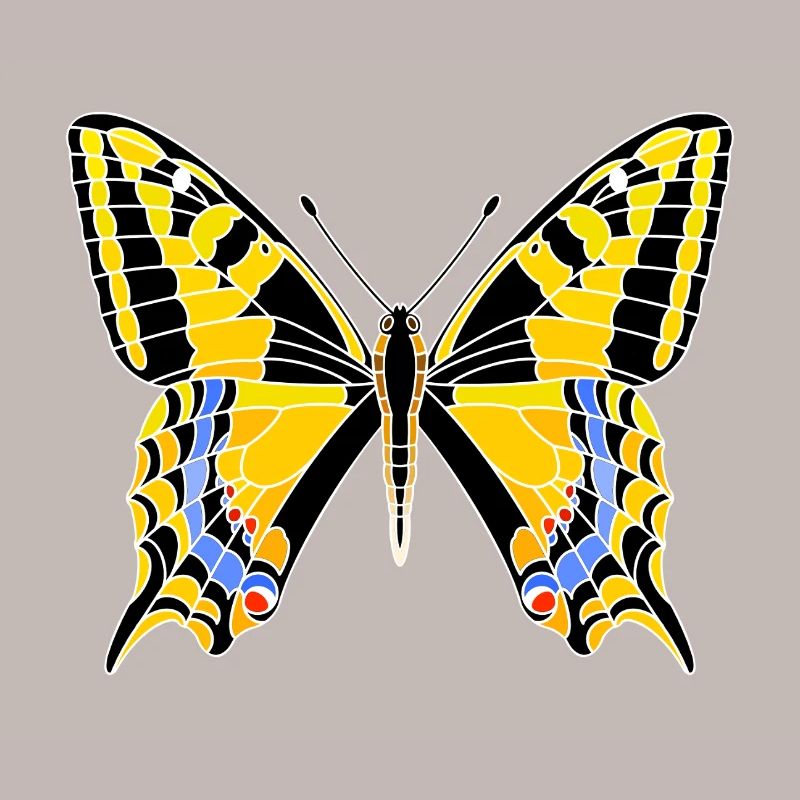 swallowtail