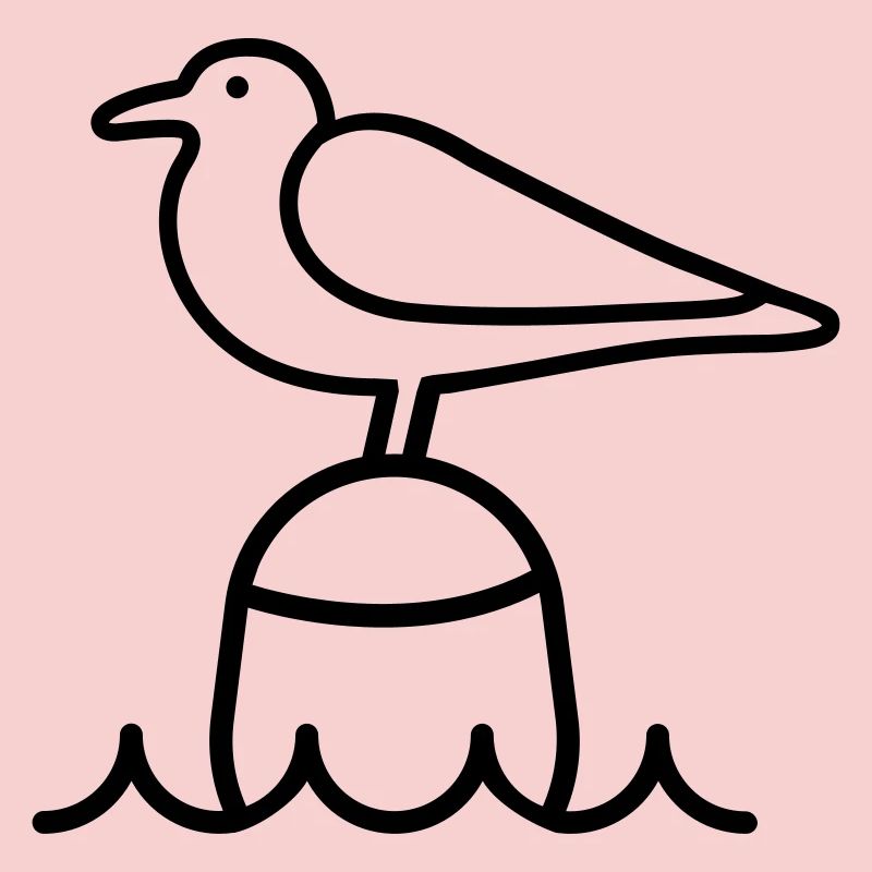 Seagull Moin