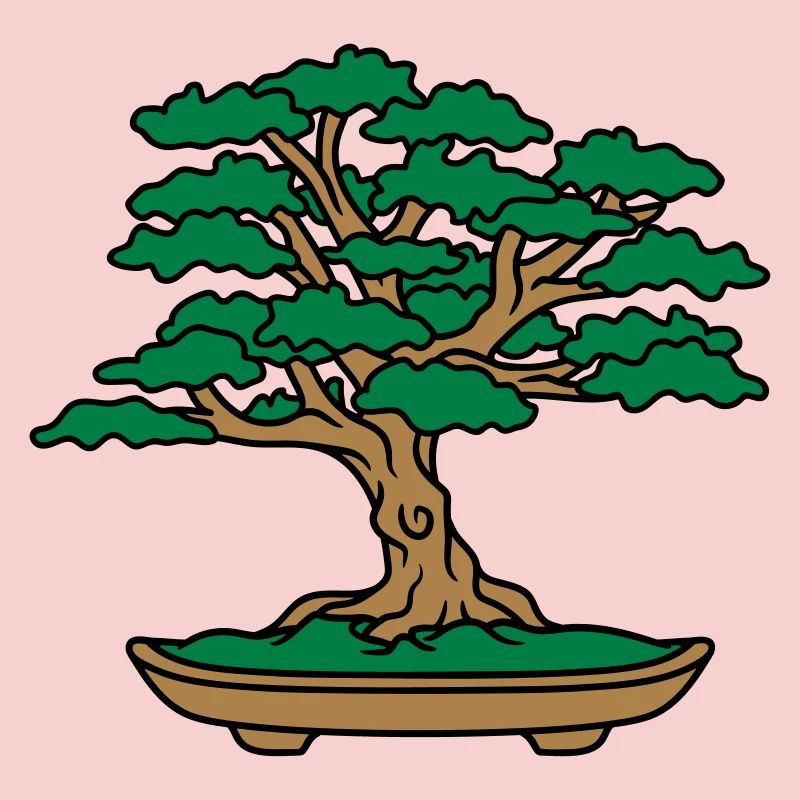 bonsai tree leaves branches small tree