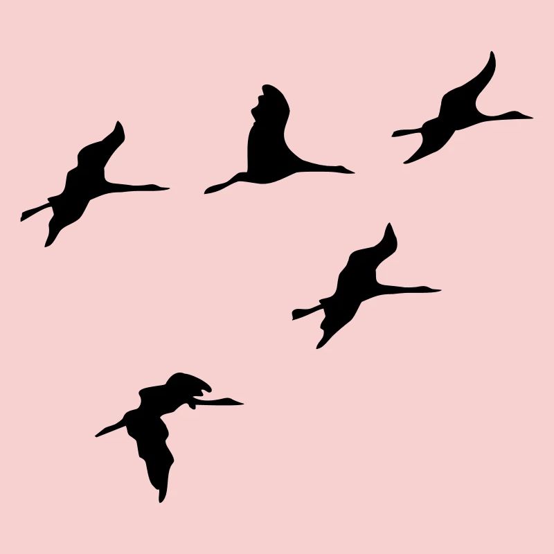 oiseau