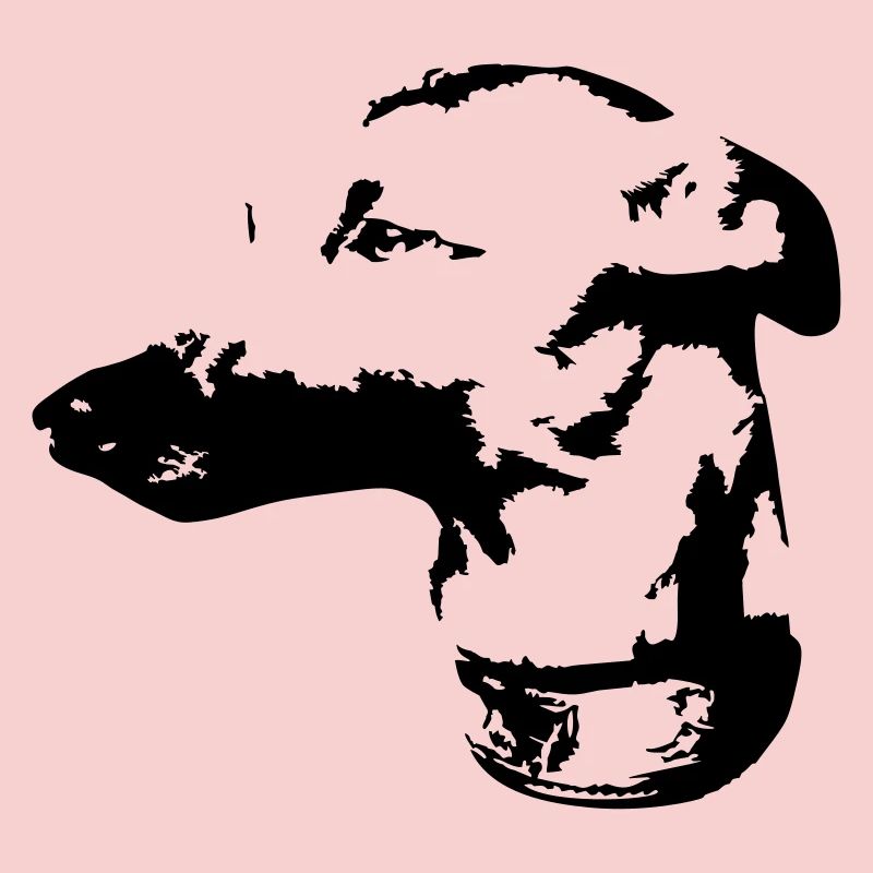 Whippet head
