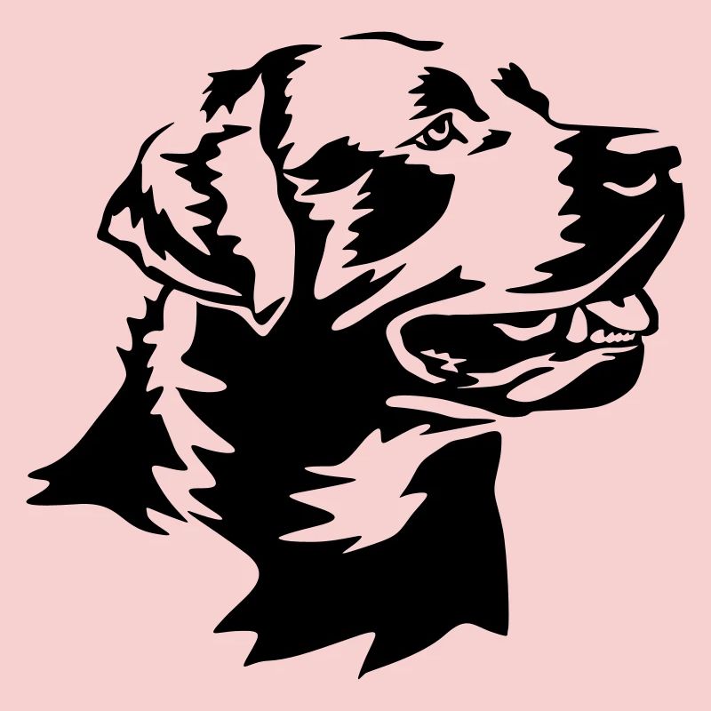 Labrador Kopf