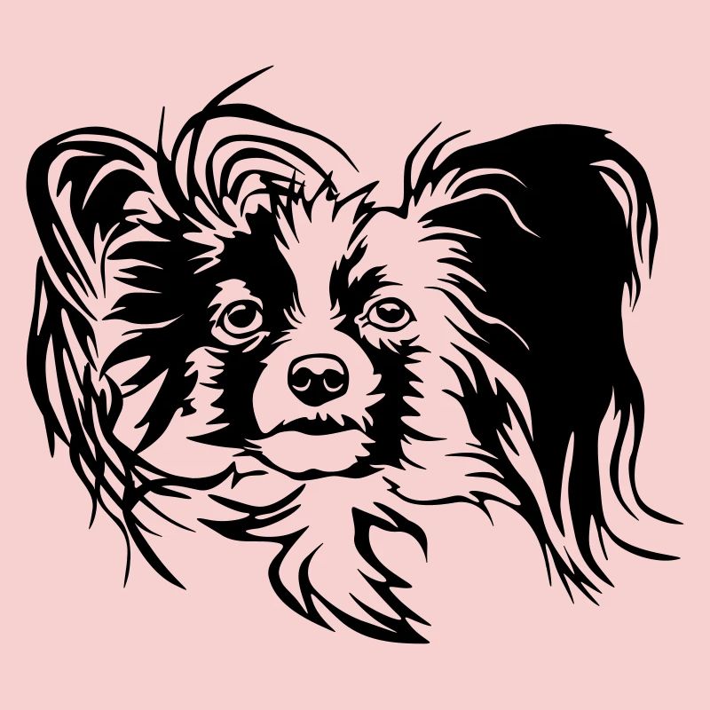 Papillon Head