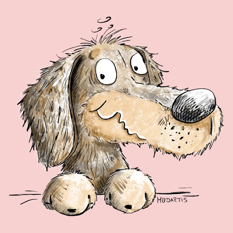 Joyeux teckel I Teckel I Chien