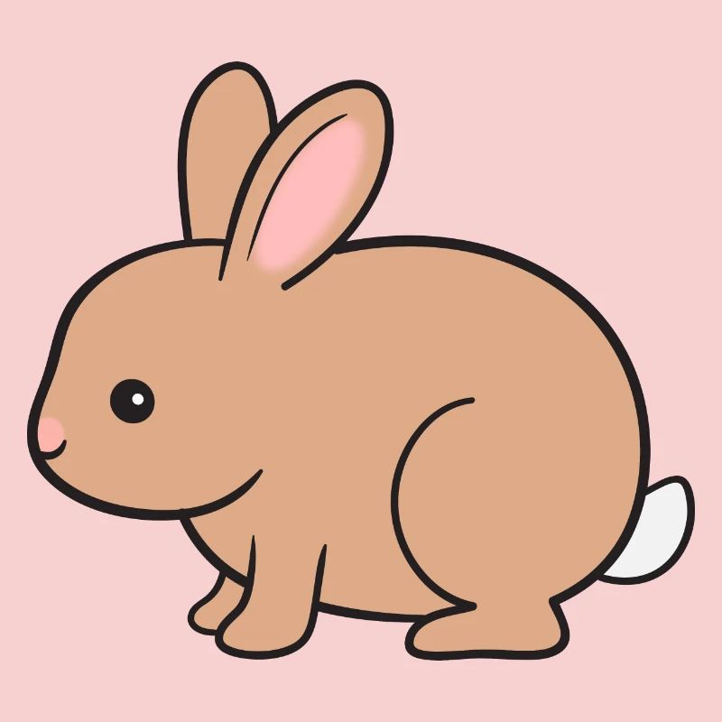 Lapin Lapin