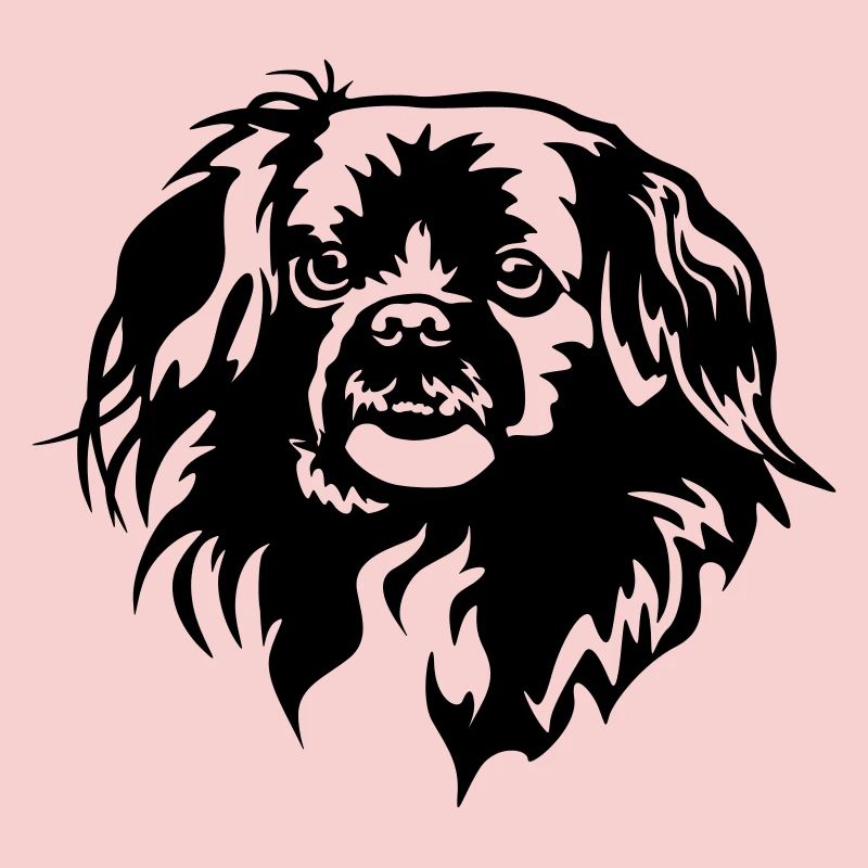Tibetan Spaniel Head