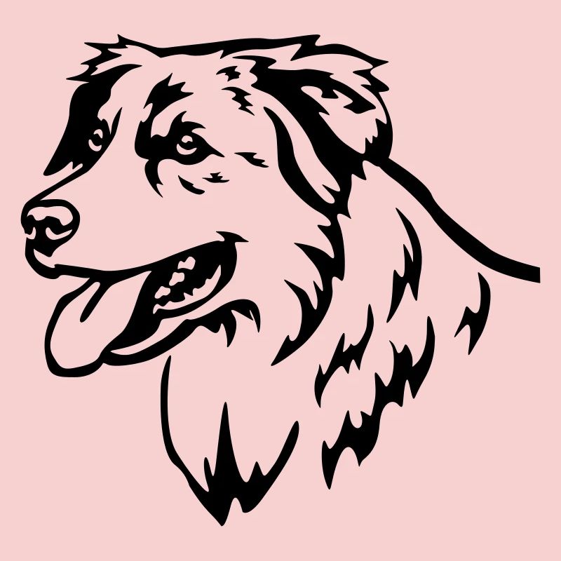 Australian Shepherd Head