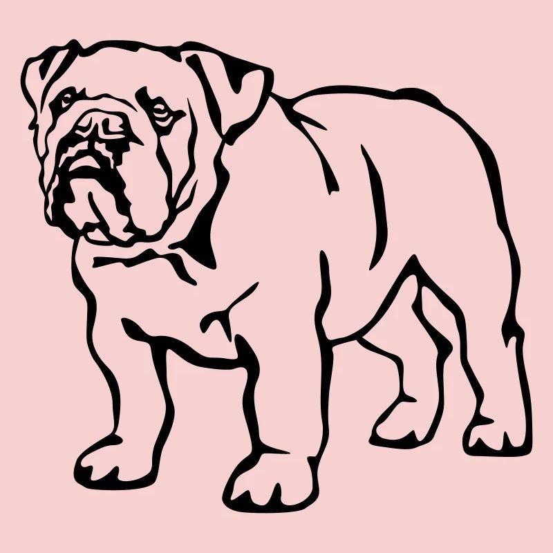 Bouledogue anglais