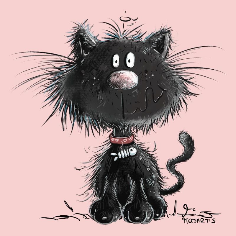 Drollige Schwarze Katze
