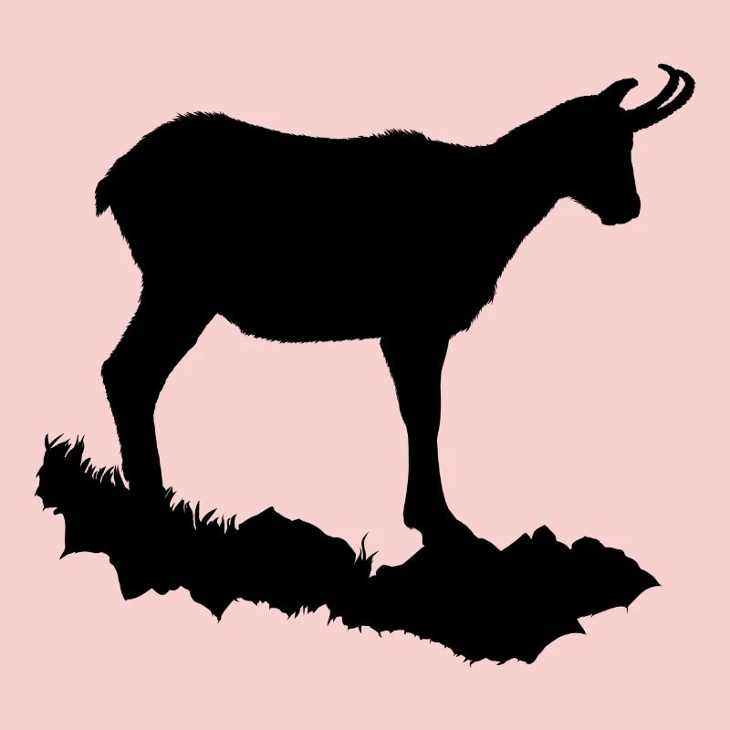 Chamois