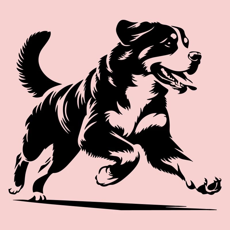 Bernese Mountain Dog