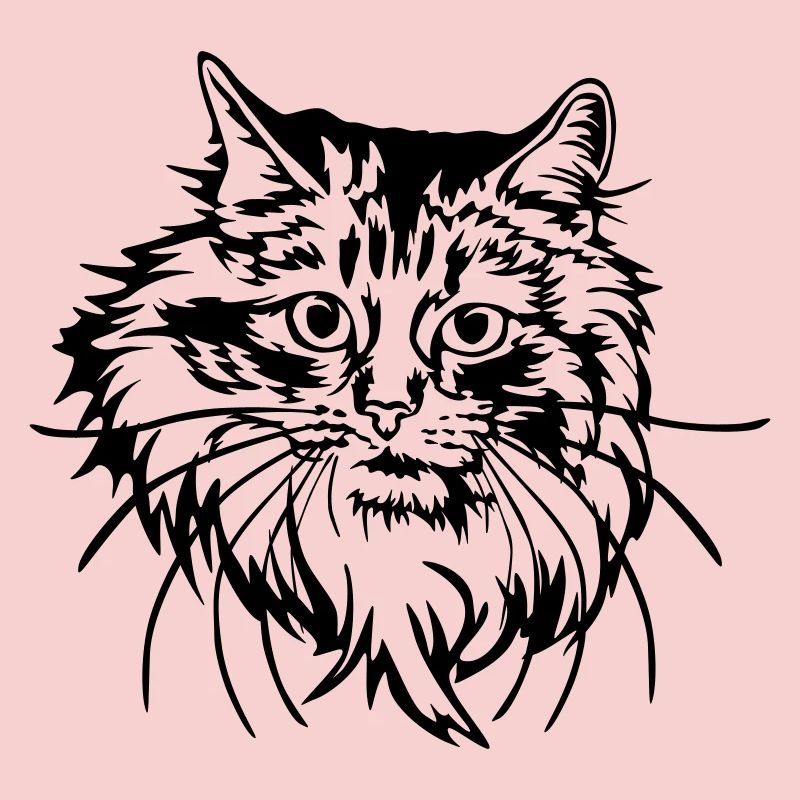 Chat des forêts norvégiennes