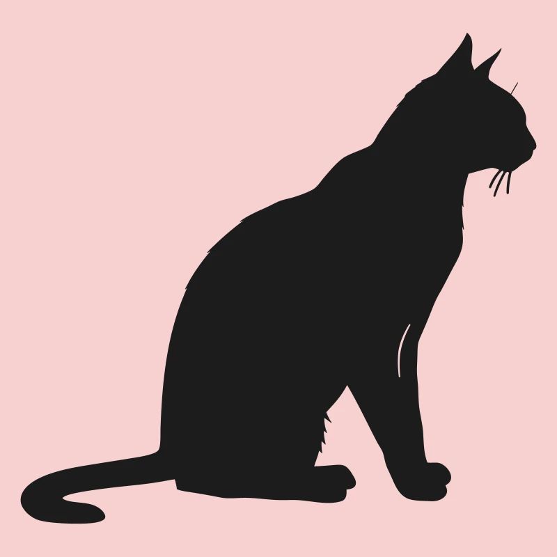 Silhouette élégante d’un chat