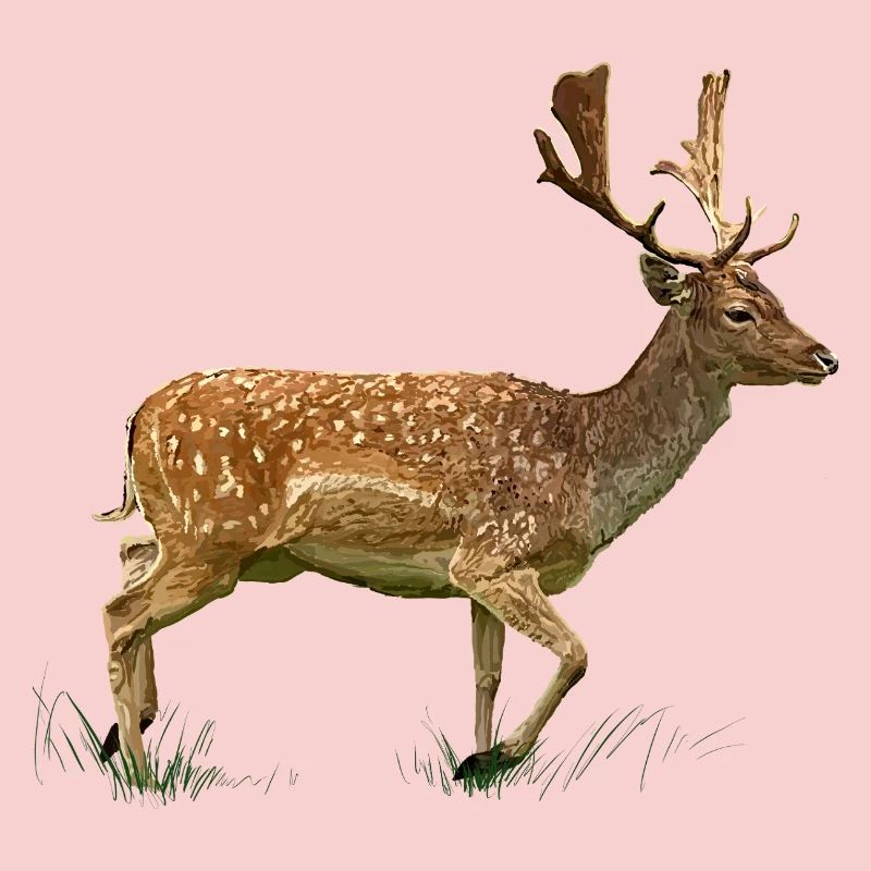 Hirsch im Gras Wald