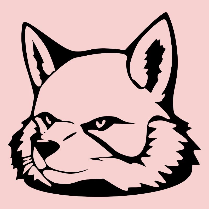 Fox T-shirt Gift