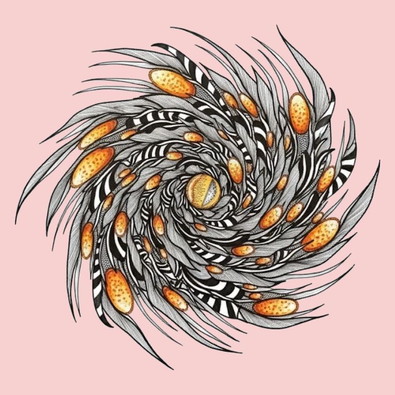 Spiral Spring Pattern