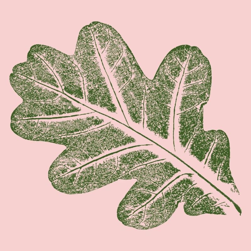 Oak leaf
